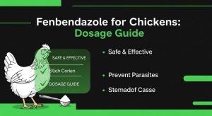 Fenbendazole for chickens dosage