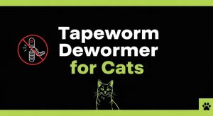 Tapeworm Dewormer Cat
