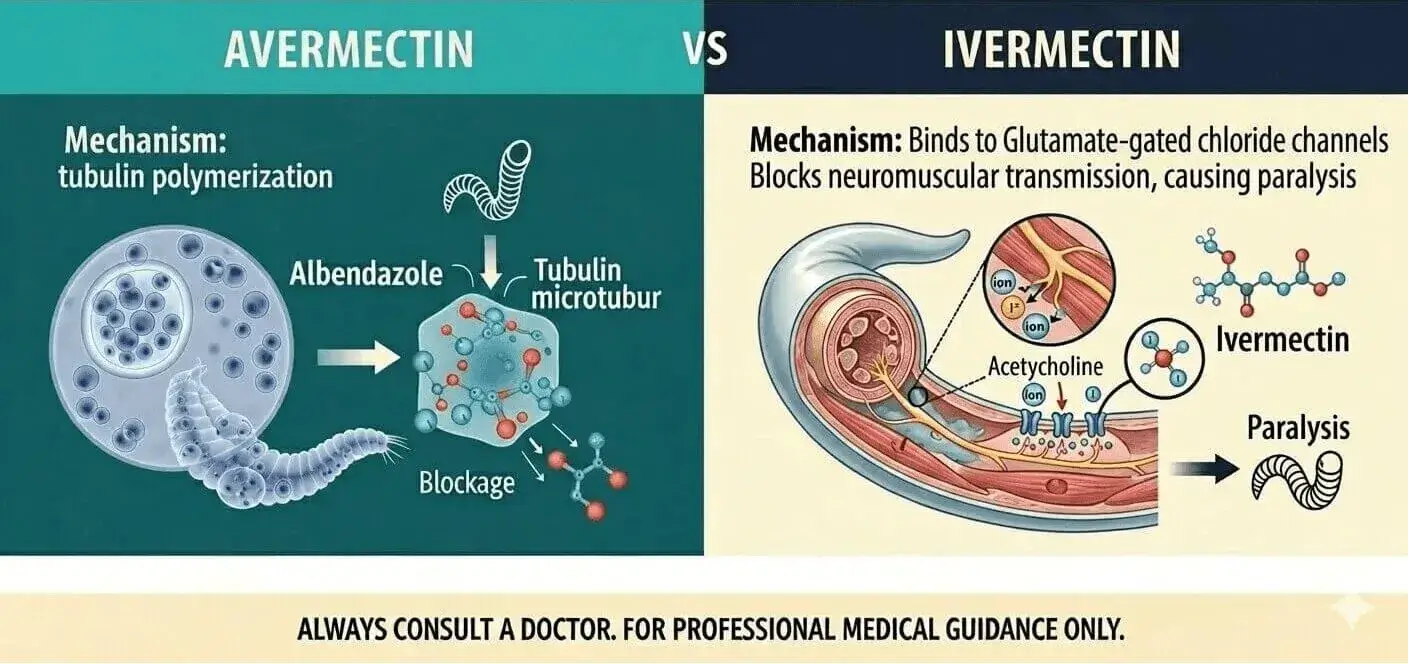 Avermectin vs. Ivermectin
